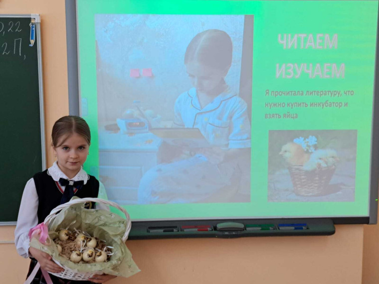 Школьный этап "Я-исследователь".
